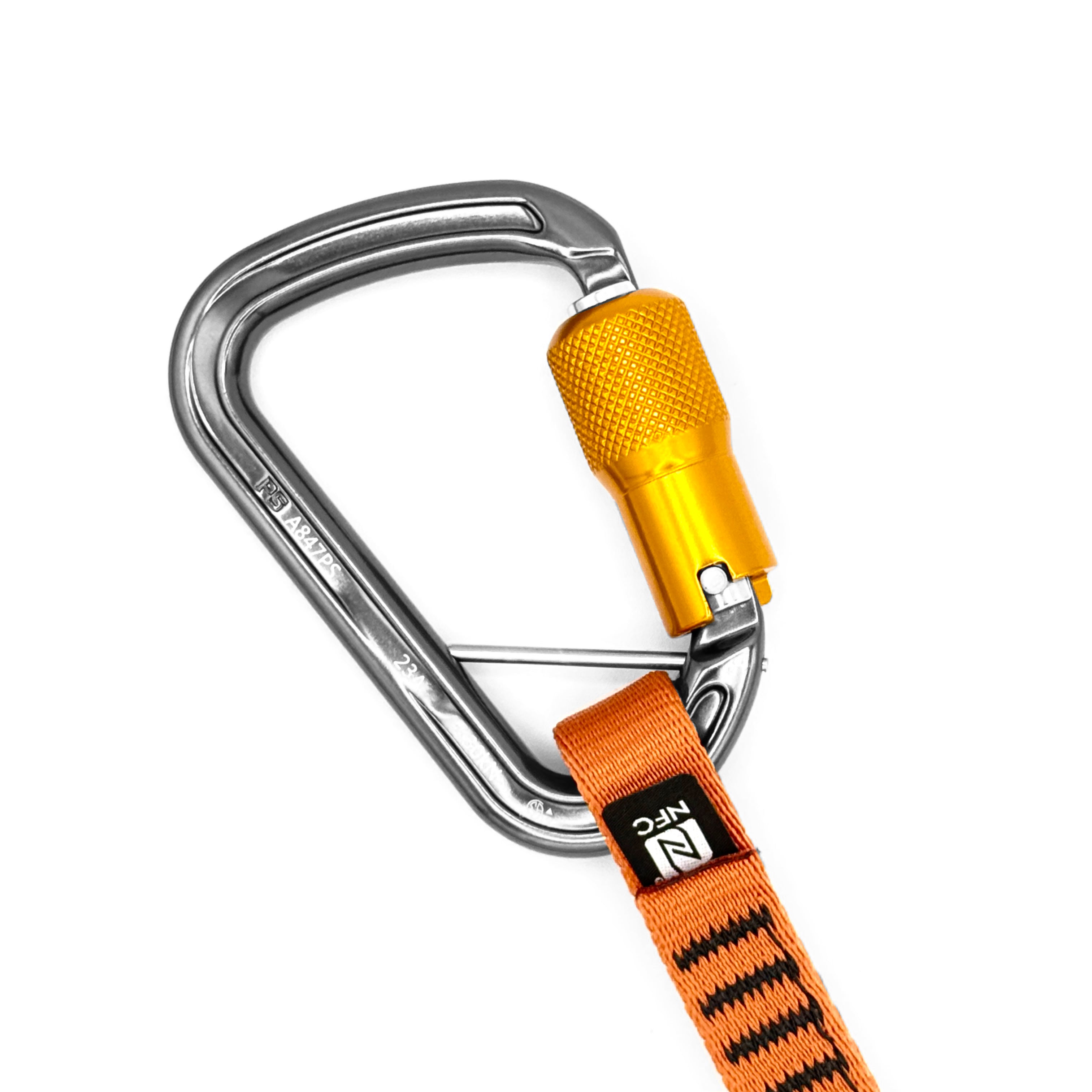 FROG ANSI QUICKDRAW – Kong USA